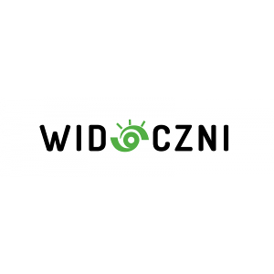 Widoczni - Agencja SEO/ADS